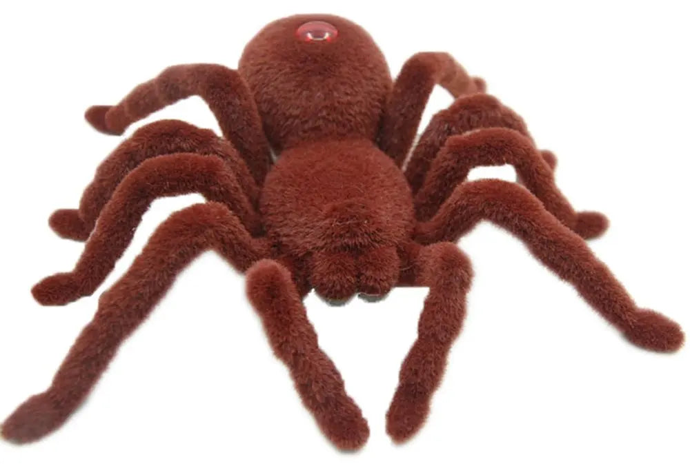 Liels spalvains brūns zirneklis tarantuls vadāms ar pulti uz balta foona
