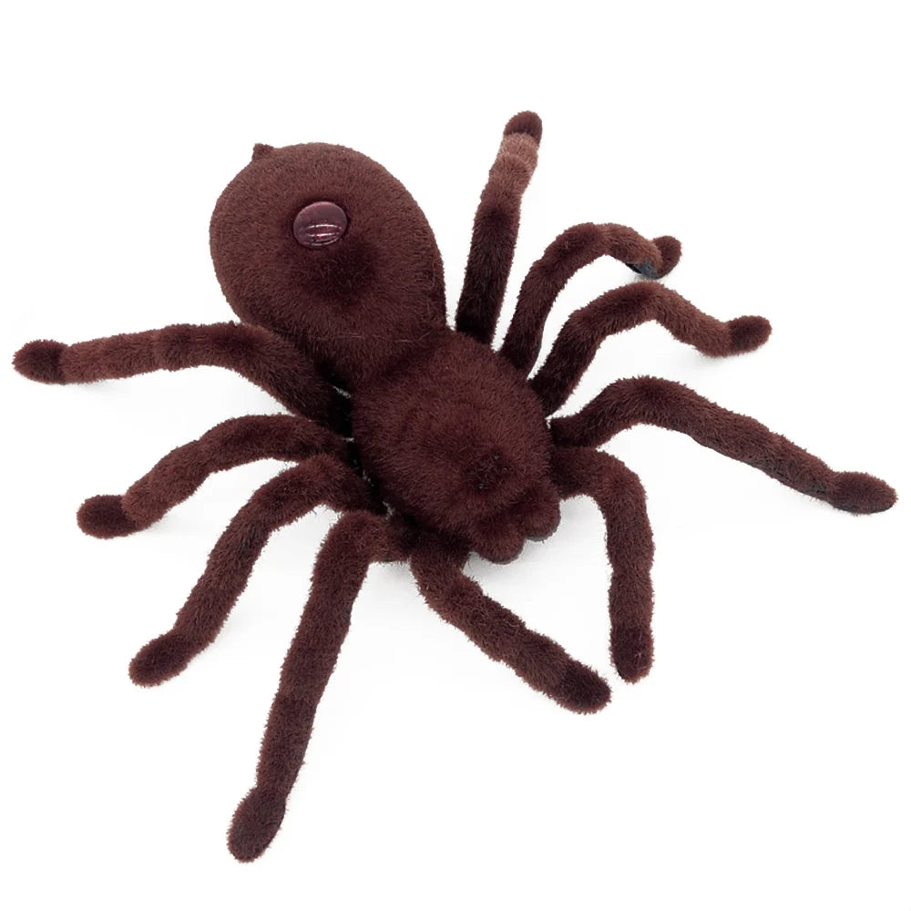 Spalvains brūns tarantuls vadāms ar pulti uz balta fona