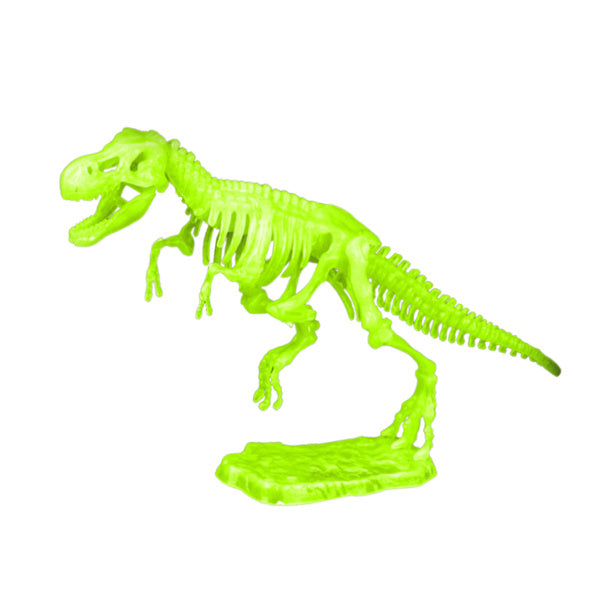 Zaļš dinozaura skeleta modelis ar statīvu