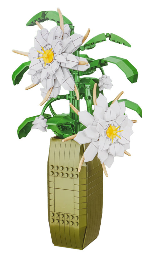 Ziedu konstruktors Flower Studio Epiphyllum ar baltiem ziediem zaļā vāzē uz balta fona